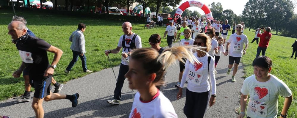 Monza: una foto d’archivio di una  Brianza per il cuore Run