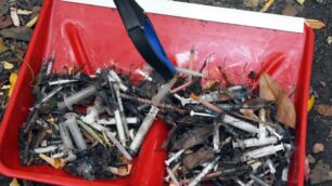 Pulizia straordinaria alle Groane: 62 quintali di rifiuti e siringhe