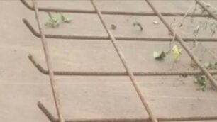 La rete abbandonata sulla tangenziale di Ceriano Laghetto