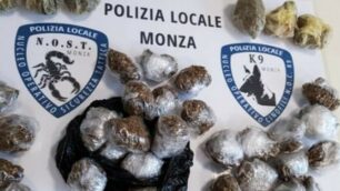 La droga trovata nel giardino di via Artigianelli-Gramsci