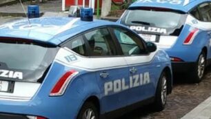 Pattuglie della polizia