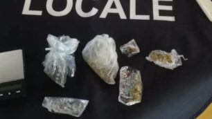 La droga sequestrata a Renate