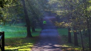 Il parco di Monza