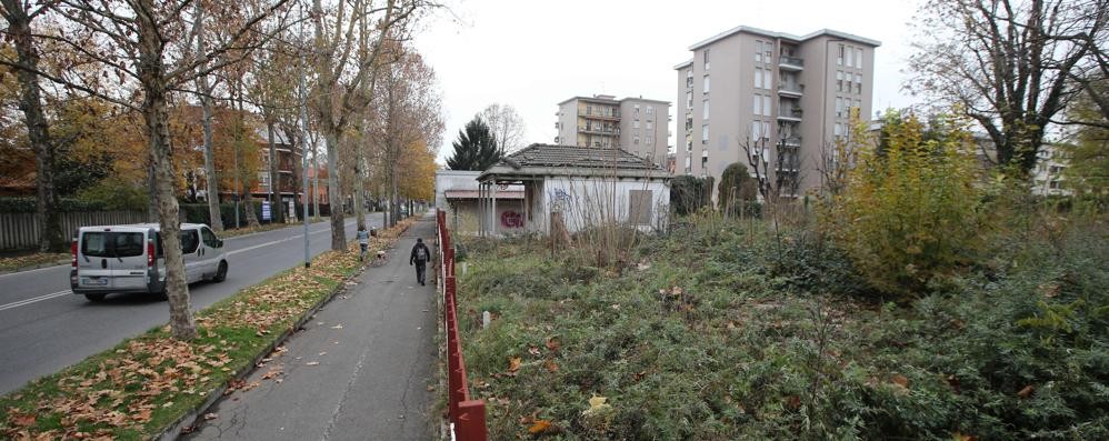 Monza viale Ugo Foscolo