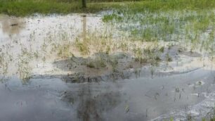veduggio - sversamento zona fossarone
