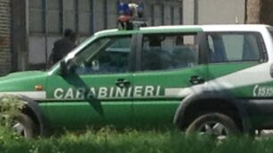 I carabinieri della forestale