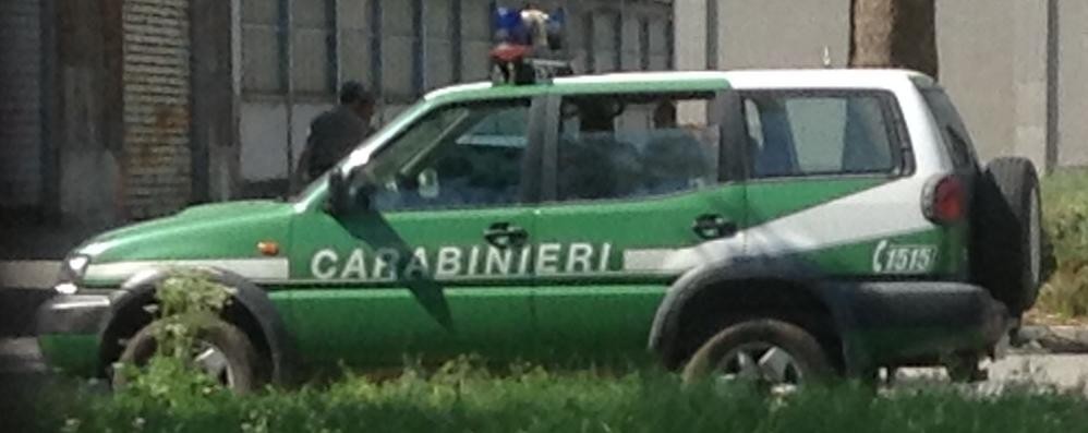 I carabinieri della forestale