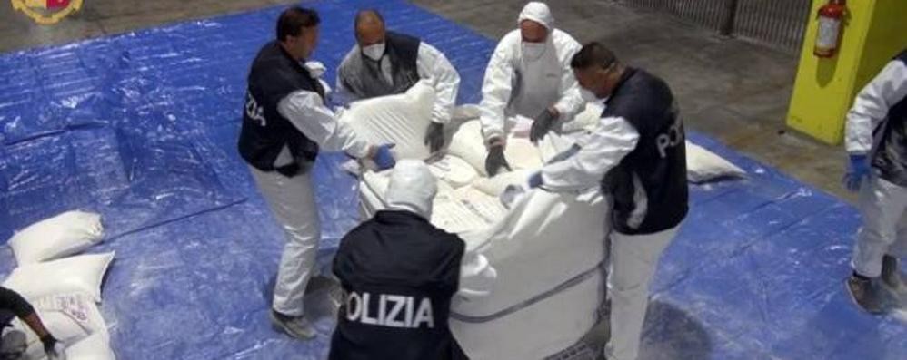 La droga sequestrata nel porto di Genova