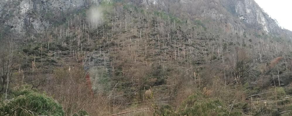 Monza Protezione civile in provincia di Belluno Emergenza maltempo