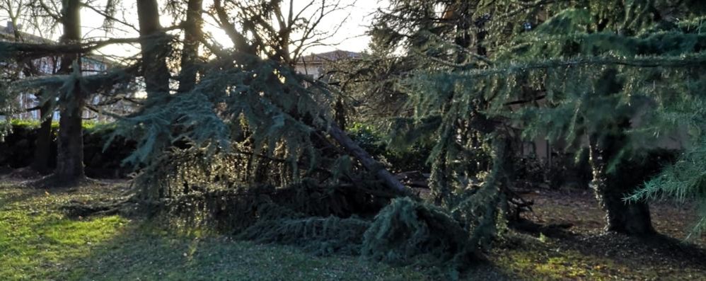 Carate Brianza giardino pubblico via Donizetti