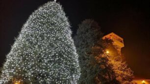 BIASSONO albero Natale 2018 allestito in piazza Italia