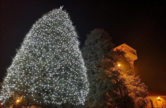 BIASSONO albero Natale 2018 allestito in piazza Italia