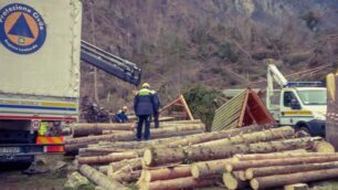 Macherio: le cime di abeti rossi e i volontari della protezione civile al lavoro in provincia di Belluno.