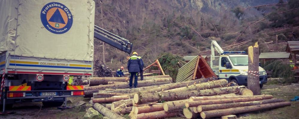 Macherio: le cime di abeti rossi e i volontari della protezione civile al lavoro in provincia di Belluno.