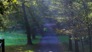 Il parco di Monza