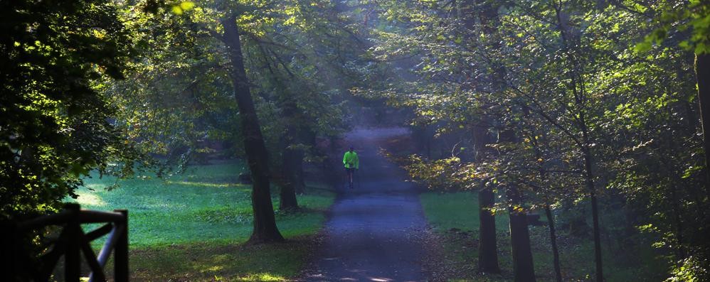 Il parco di Monza