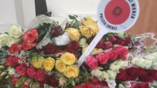I fiori sequestrati nell’Operazione Flowers della polizia locale di Monza