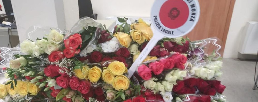 I fiori sequestrati nell’Operazione Flowers della polizia locale di Monza
