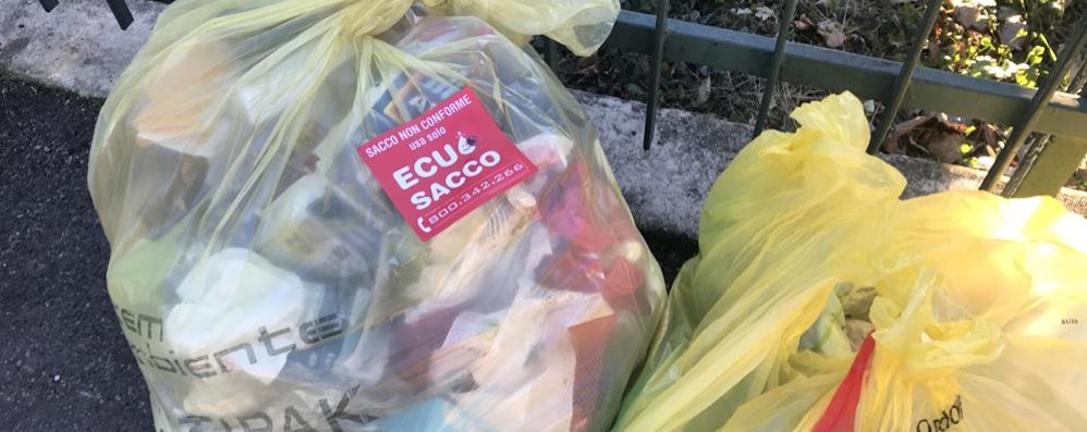 Arcore sacco rosso ecuosacco: sacco non conforme