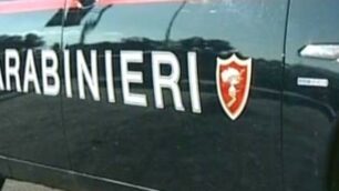 Carabinieri di Seveso e radiomobile Seregno sul posto