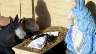 Lissone: il presepe senza la statua di Gesù bambino