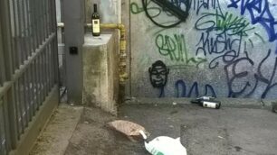 I resti della “festa” in via Longhi