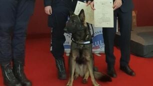Monza cane Narco premiato