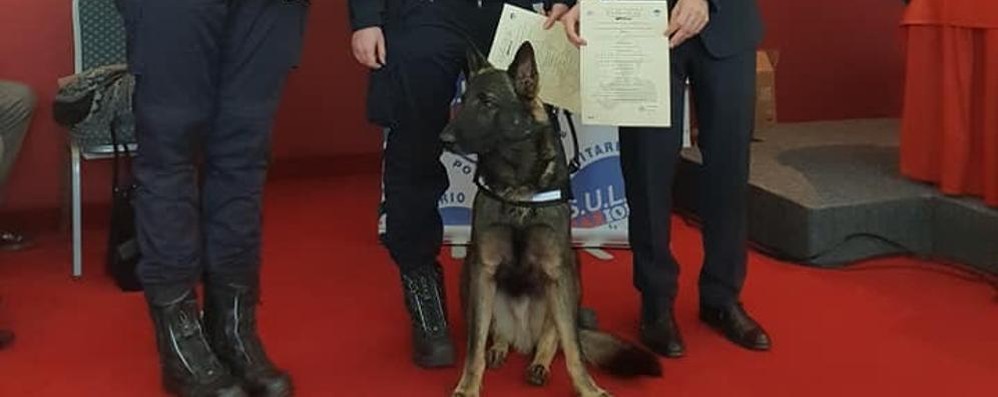 Monza cane Narco premiato