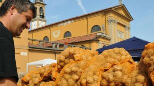 Vimercate - Patata di Oreno - foto d’archivio