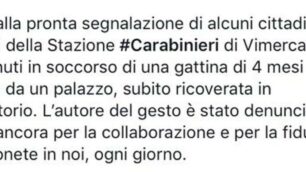 Il post dell’Arma
