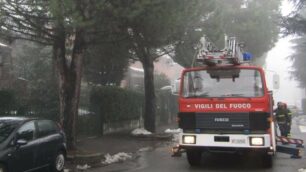 Rami spezzati a Costa Lambro, vigili del fuoco in azione