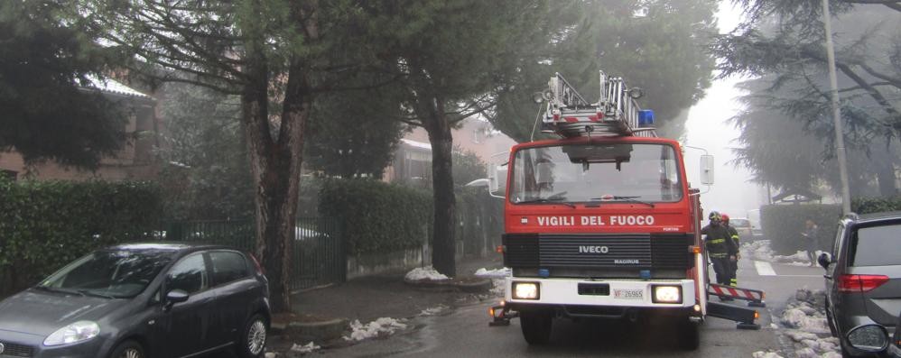 Rami spezzati a Costa Lambro, vigili del fuoco in azione