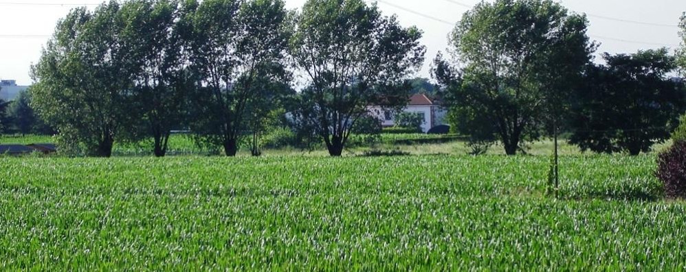 Uno scorcio del vasto parco del Grugnotorto