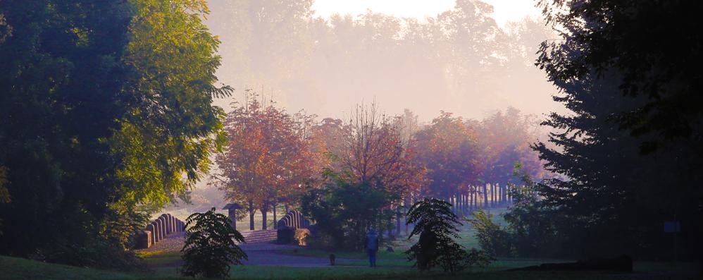 Il parco di Monza