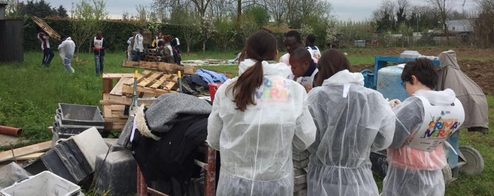 Monza Pulizie di primavera orto via Papini #coltivoanchio