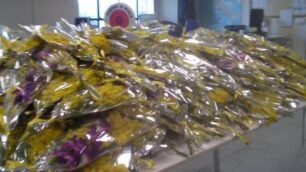 I fiori sequestrati dalla polizia locale