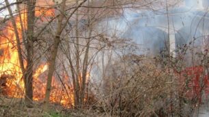 Incendio sterpaglie Giussano via dei Giardini