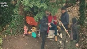 Spacciatori e i “pali” armati di mazza nel bosco delle Groane