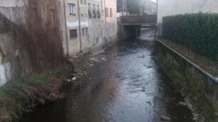 Il fiume Seveso che scorre in centro a Seveso