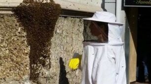 Brugherio: Irina Petrini, avvocato e apicoltrice, recupera uno sciame di api in piazza della chiesa qualche anno fa
