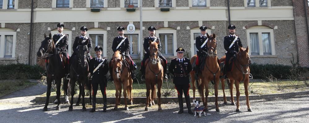 Monza Carabinieri Nucleo a cavallo parco