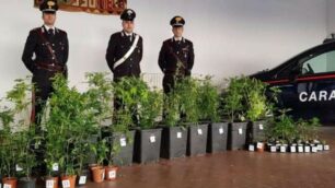 Carabinieri Lissone droga Desio