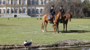 Monza Carabinieri Nucleo a cavallo parco e la mascotte Artù