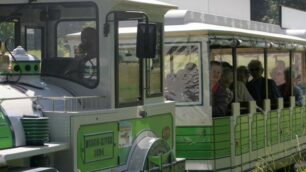 MONZA PARCO TRENINO