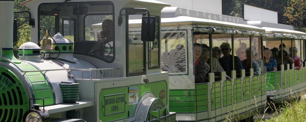 MONZA PARCO TRENINO