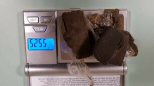 La droga seuqestrata
