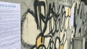 Monza, manifesto civismo di Fight the writers accanto alle margherite ricoperte da graffiti