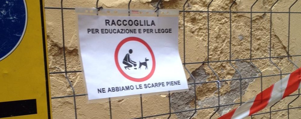 monza via zucchi protesta cacca cani qualche tempo fa