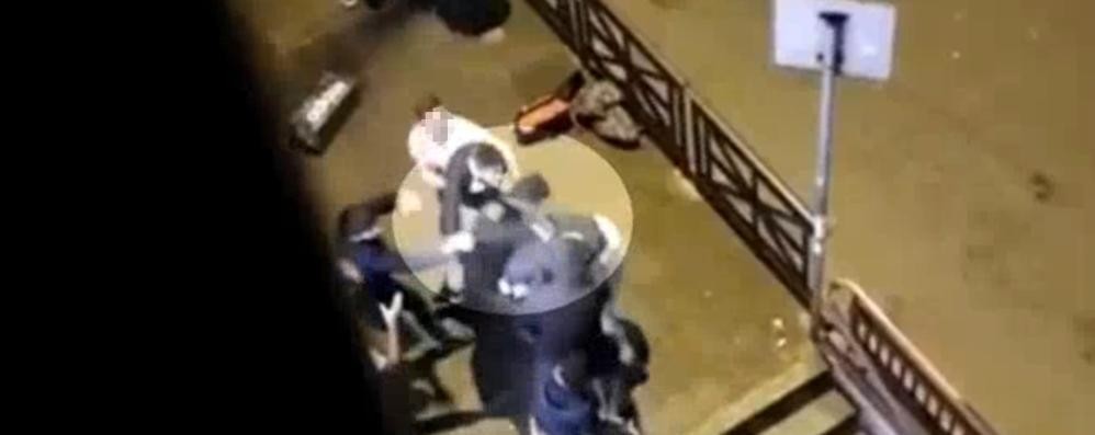 Monza rapine Gta polizia di Stato