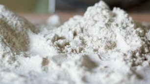 Alternative al glutine dei cereali e della farina? Tante: un festival a Monza per chi è celiaco